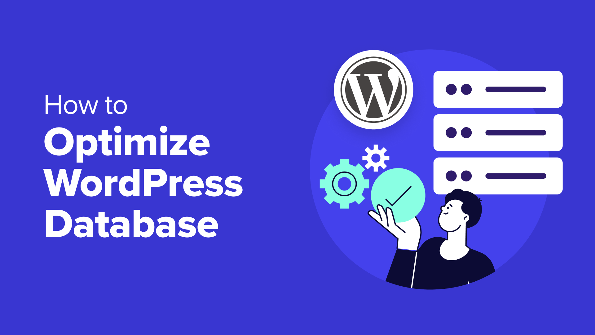 How to Optimize Your WordPress Database for Speed